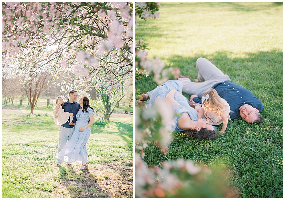 A cherry blossom maternity session at the National Arboretum in DC