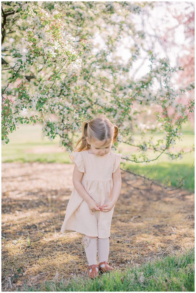 A toddler girl wearing an ivory dress with pigtails stands near a cherry tree at the National Arboretum