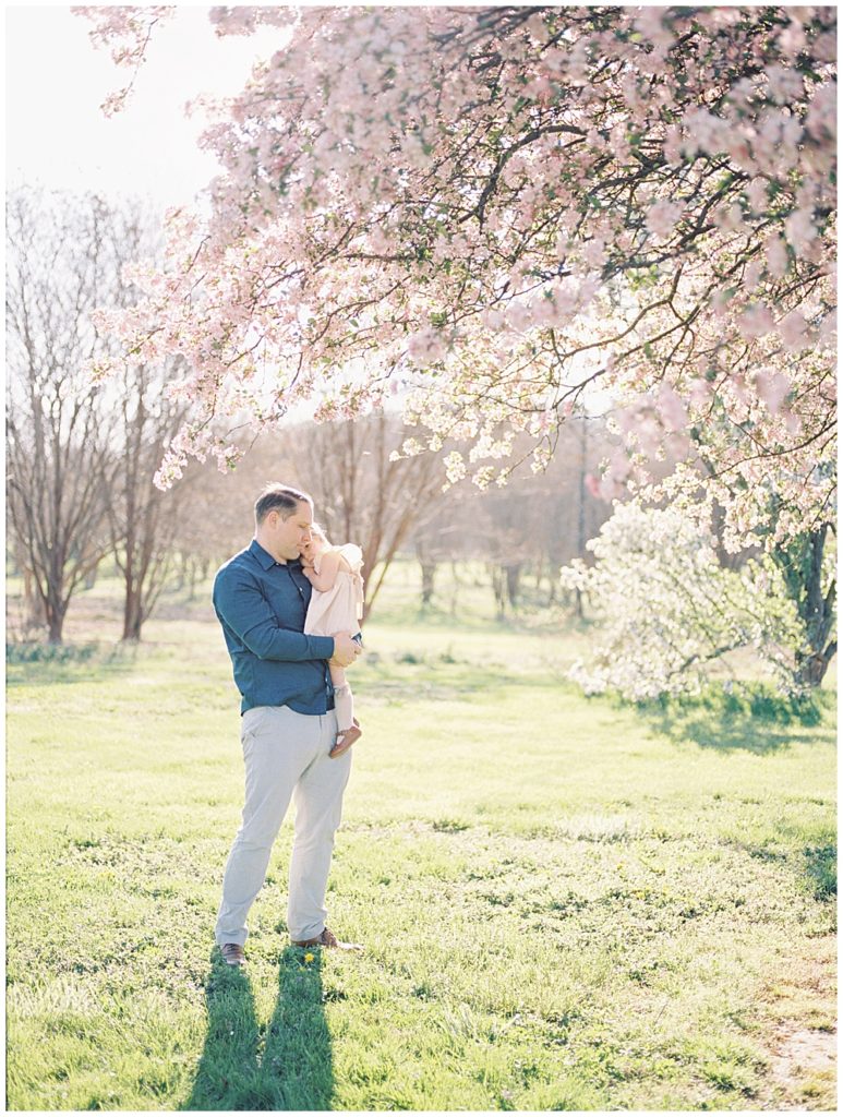 A dad holds his toddler girl by the Kwanzan cherry trees at the National Arboretum
