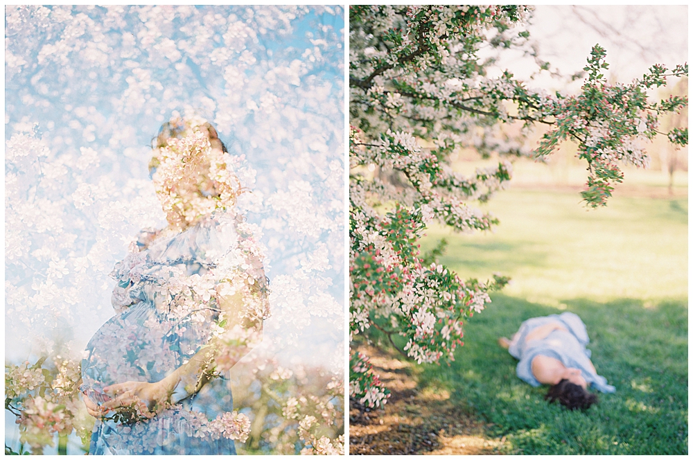 Cherry blossom maternity session at the National Arboretum