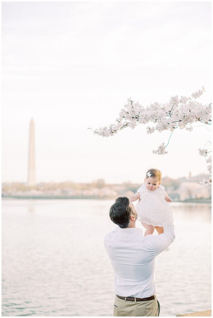 A father holds up his daughter to the DC cherry blossoms