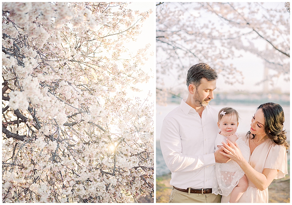 A young family stands in the cherry blossom trees along the Tidal Basin in Washington DC