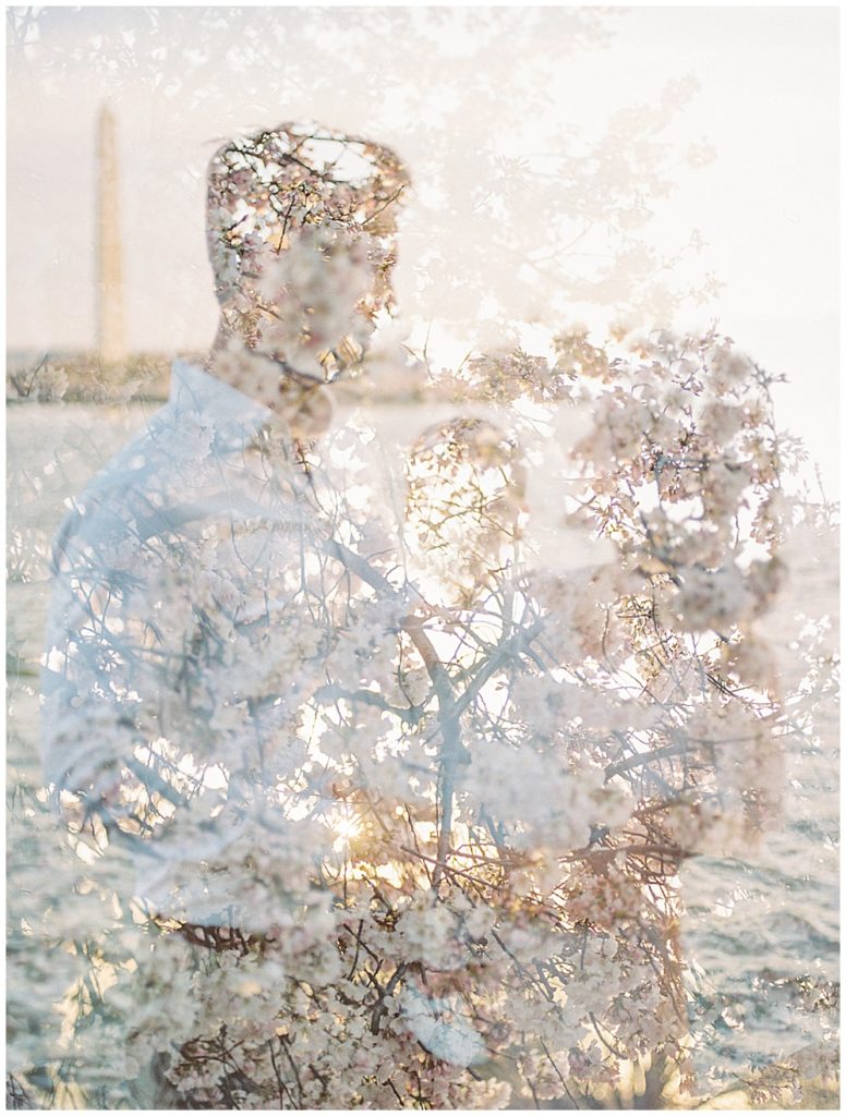 A double exposure of a mother, father, and baby in Washington DC and the cherry blossom trees