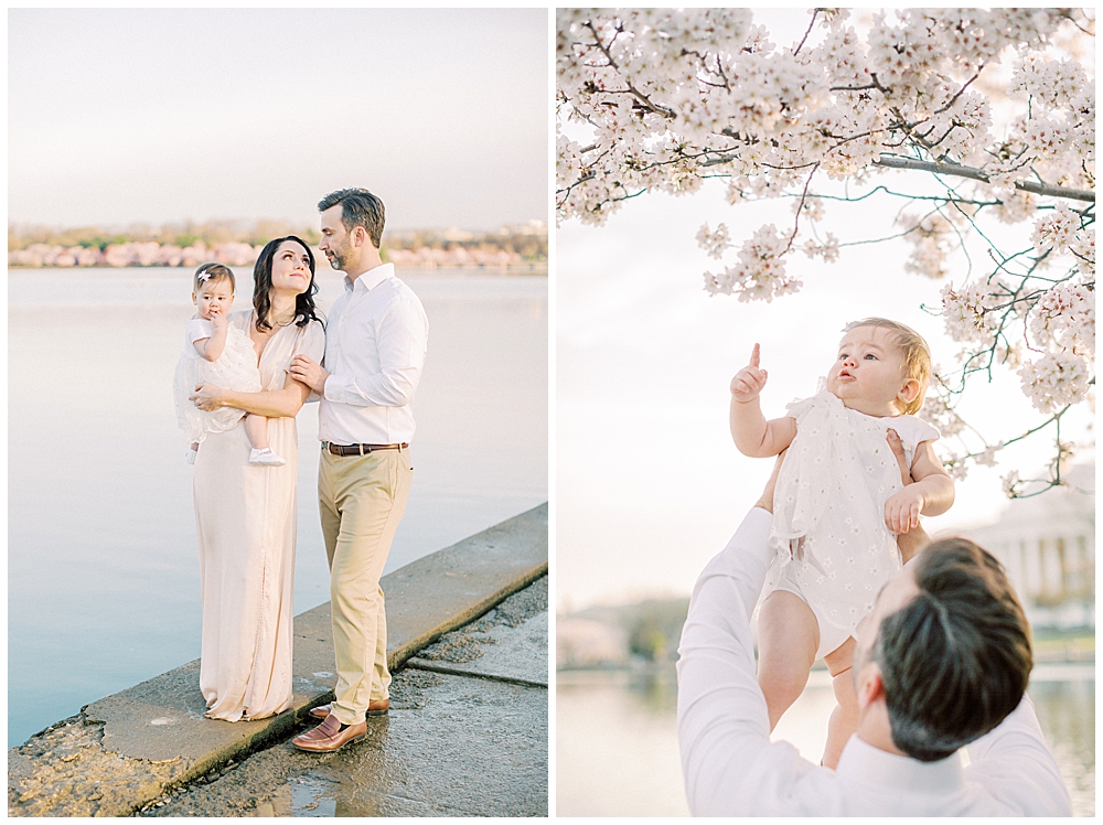 A Tidal Basin cherry blossom family session with a mother, father, and one year old daughter in Washington DC