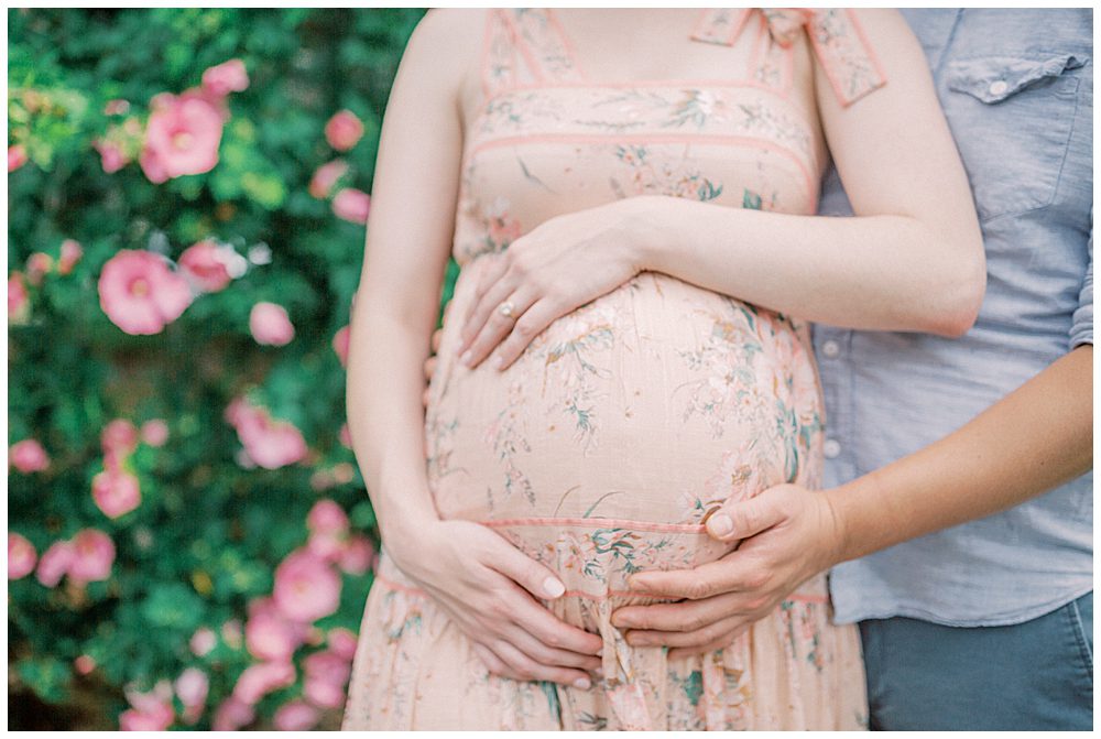 Expecting parents place their hands on mother's belly while standing in front of a rose of Sheron bush.