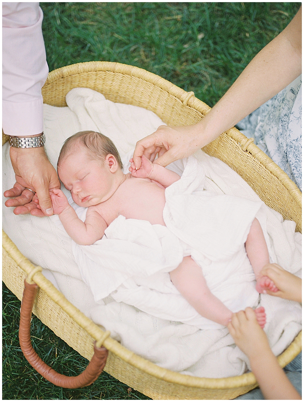 Family members hold hands and feet of newborn girl while she lays in a Moses basket during her outdoor studio newborn session