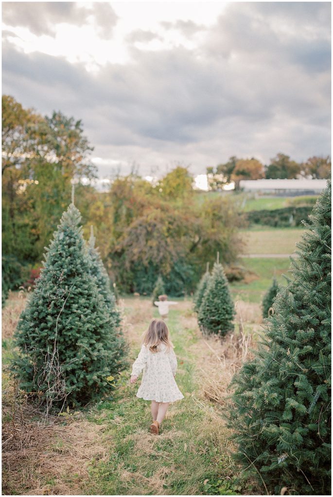 Little girl runs through Christmas tree farm during Christmas tree farm mini sessions at Butler's Orchard.