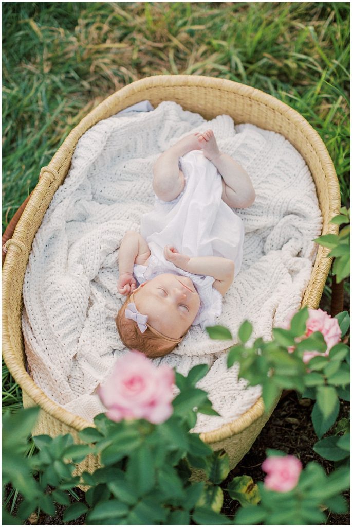 Baby girl lays in Moses basket during outdoor newborn family photos at Bon Air Rose Garden.