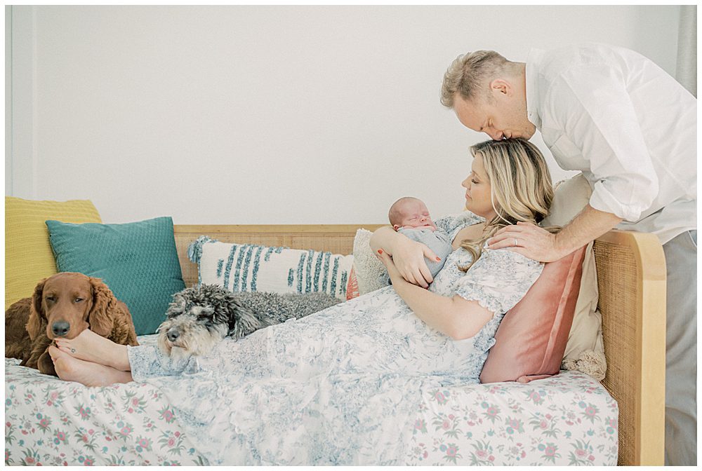 Newborn session with dogs