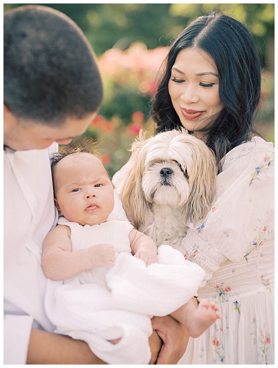 New parents hold their baby girl and small dog in Bon Air Rose Garden in Alexandria, Virginia.