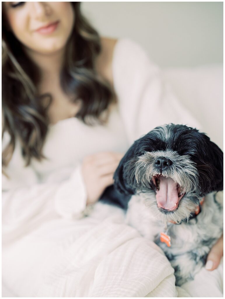 Black and brown small dog yawns while sitting next to its long brown-haired owner.