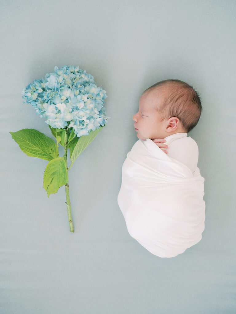 Baby swaddled in white lays on light blue blanket next to a blue hydrangea during their Georgetown newborn session.