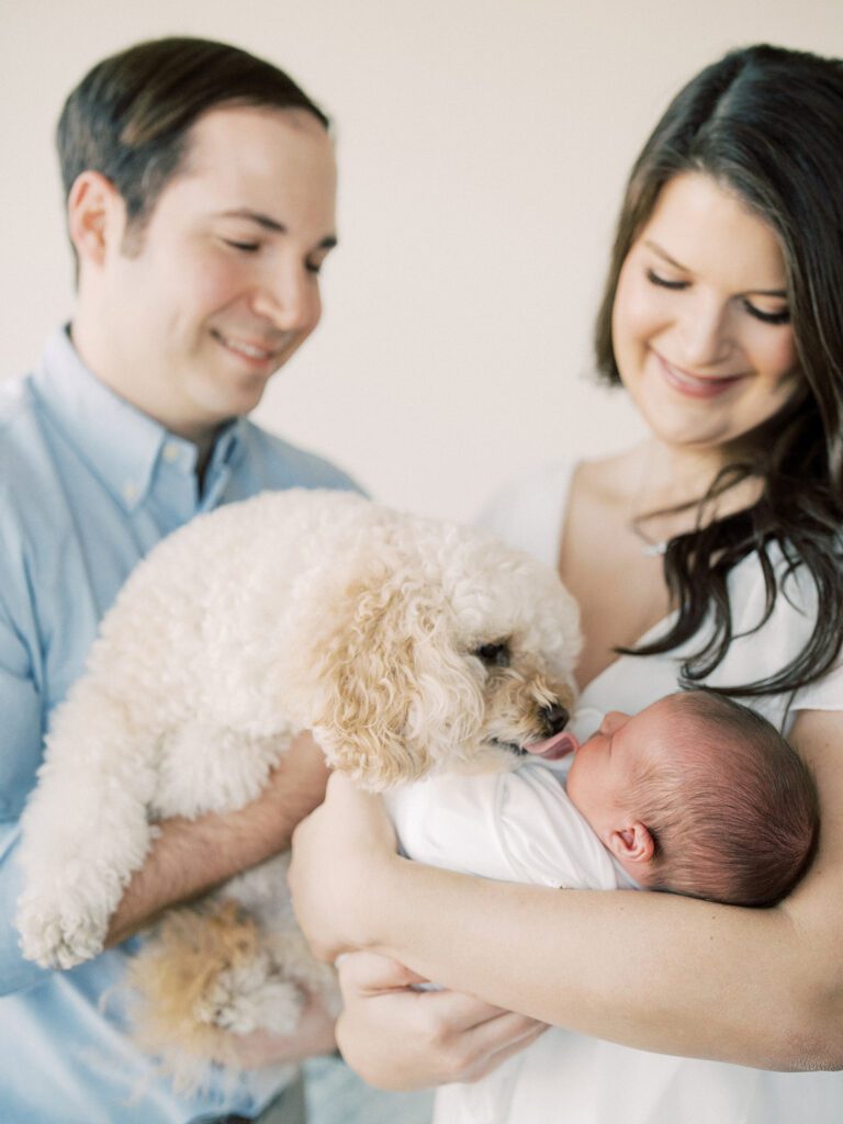 Father holds fluffy dog up to newborn baby held by mother as dog licks baby's face.